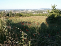 Blick vom Friedensweg, Foto: HdAG