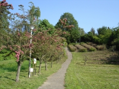 Frühling, Foto: Günter Benz