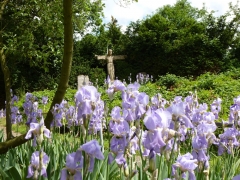 Frühling, Foto: Günter Benz