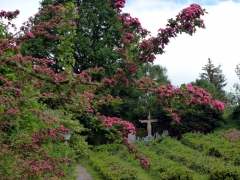 Frühling, Foto: Günter Benz